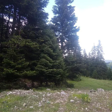 بيت ضيافة κοινοτικός αμαραντος *