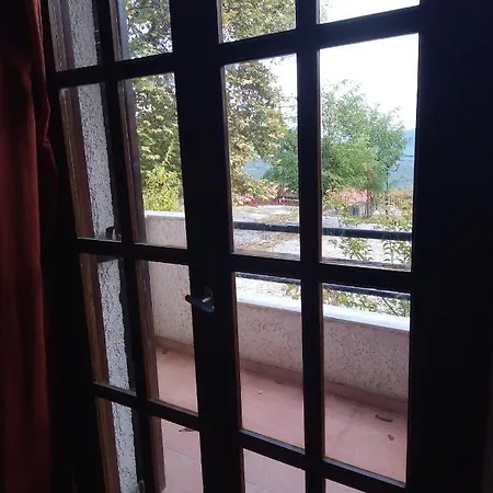 κοινοτικός αμαραντος