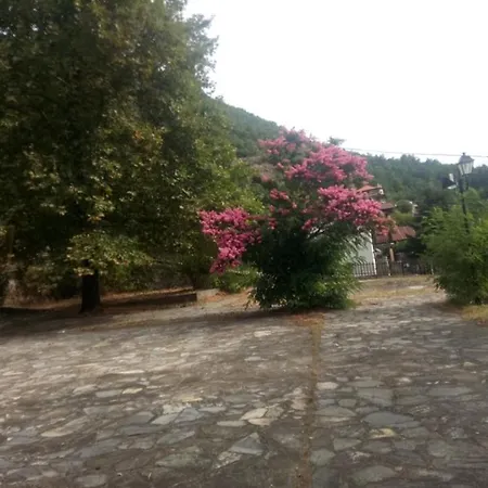 κοινοτικός αμαραντος * Amáranton